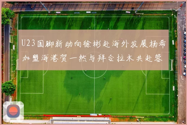 U23国脚新动向徐彬赴海外发展杨希加盟海港贺一然与拜合拉木共赴蓉城