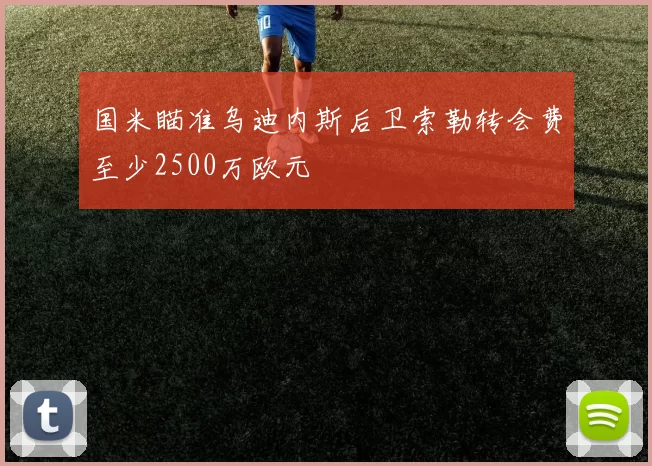 国米瞄准乌迪内斯后卫索勒转会费至少2500万欧元