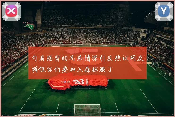 勾肩搭背的兄弟情深引发热议网友调侃你们要加入森林狼了